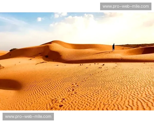 利雅得新月新闻——在沙漠中看见世界的温度